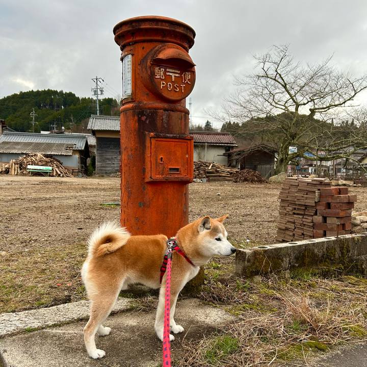 5e8cf742 bc93 42d9 80a8 5ba8eecefc9e 1741775519409