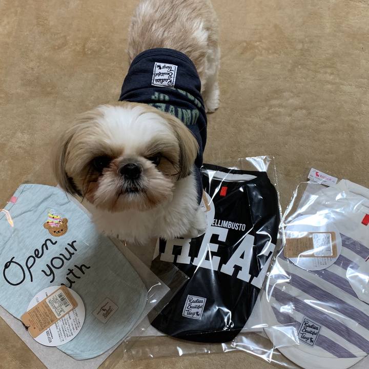 5e8d0fa0 5810 4a82 a772 aa3bc4e93a97 1585915373189