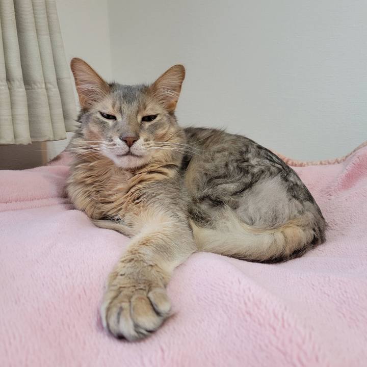 5e8d1233 4899 4995 8d90 4fbedffc1970 1653138711718