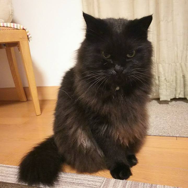 5e8d1ea5 9faa 4ebc b410 7105a16517b5 1531051880680