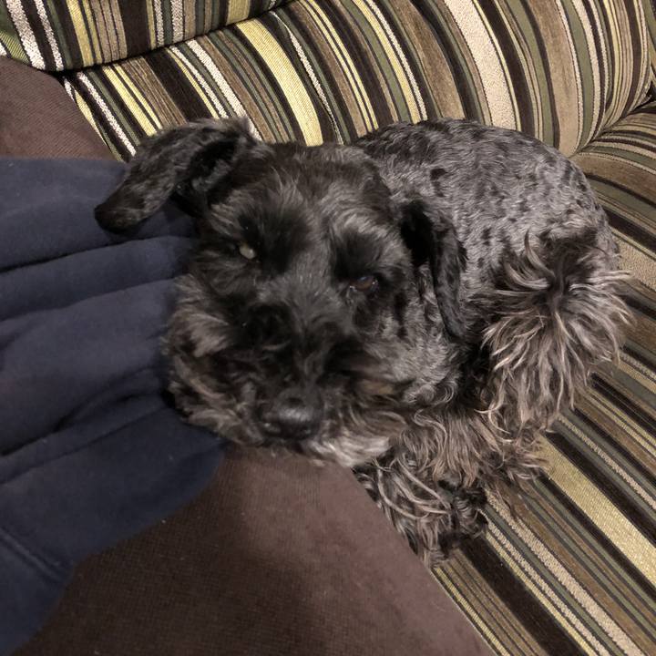 5e8d55ea 1886 4793 b8a9 1422d14aad46 1585830922338