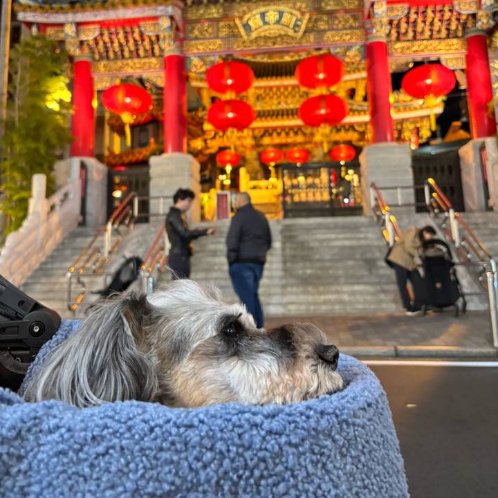 5e8d5cfb 08ef 414f 8d24 fff24877cfb3 1762172466335