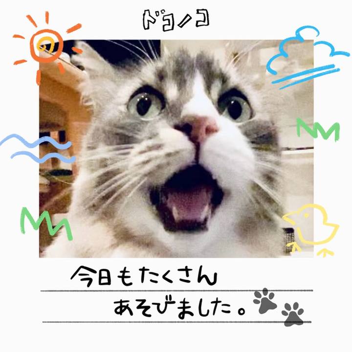 5e8db058 47d7 45f6 8607 4b106046edaf 1755095583258