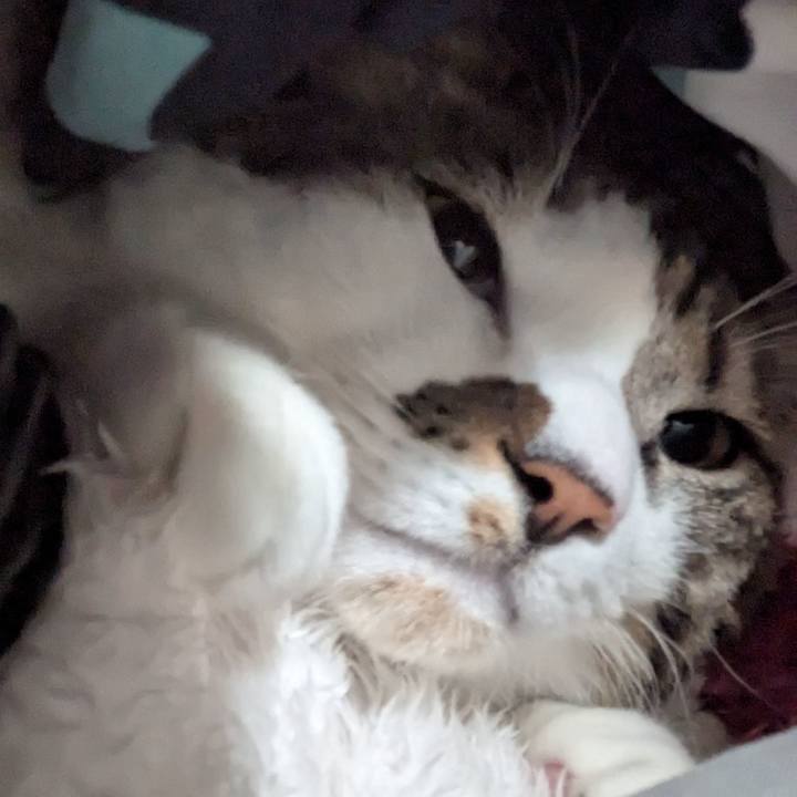 5e8dbe55 f55b 476d acf4 c8ebf30cd210 1737373549578