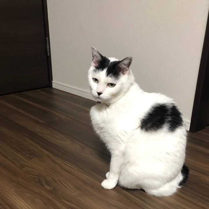 5e8e2af1 9840 49ab 865b 8f9ee5e15a59 1576107007266