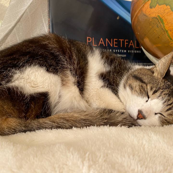 5e8e3321 f09c 4d01 8b09 3d1dbc26bbc9 1644026642448