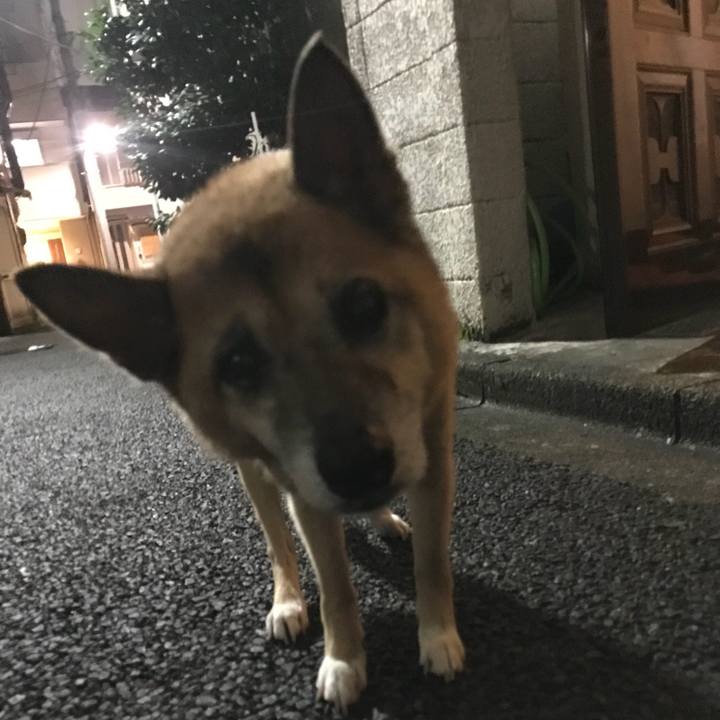 5e8e5af6 42f3 47c9 bcfd 6b60a031ee41 1535971308531