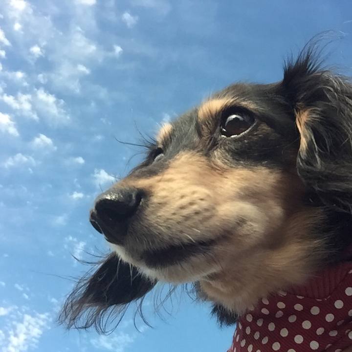 5e8ed097 fe4f 4d2e b37b feb400a92945 1541031443395