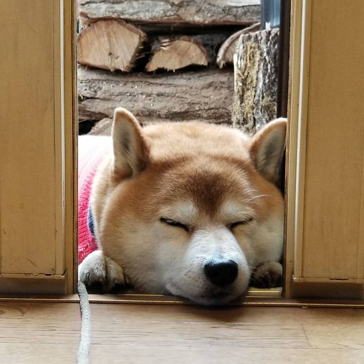 5e8f0480 813d 4636 9aaa 1cc43e21b21e 1520565598807