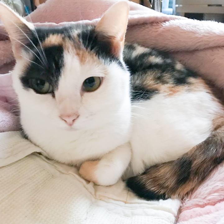 5e8f3620 a564 4c1a a5c2 c44729bc36ca 1513989810183