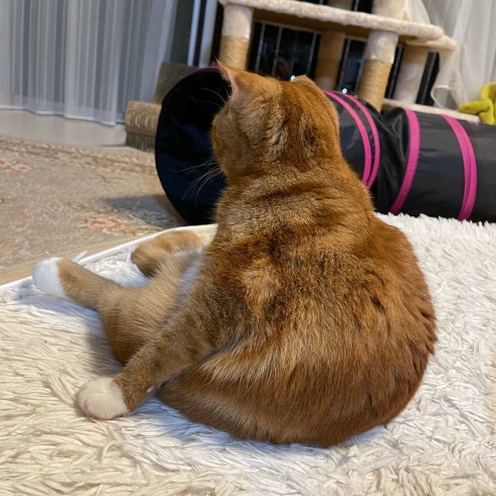 5e8f50ee 3bbd 4b29 b9b4 1a9a2d2ba9ec 1614603873802