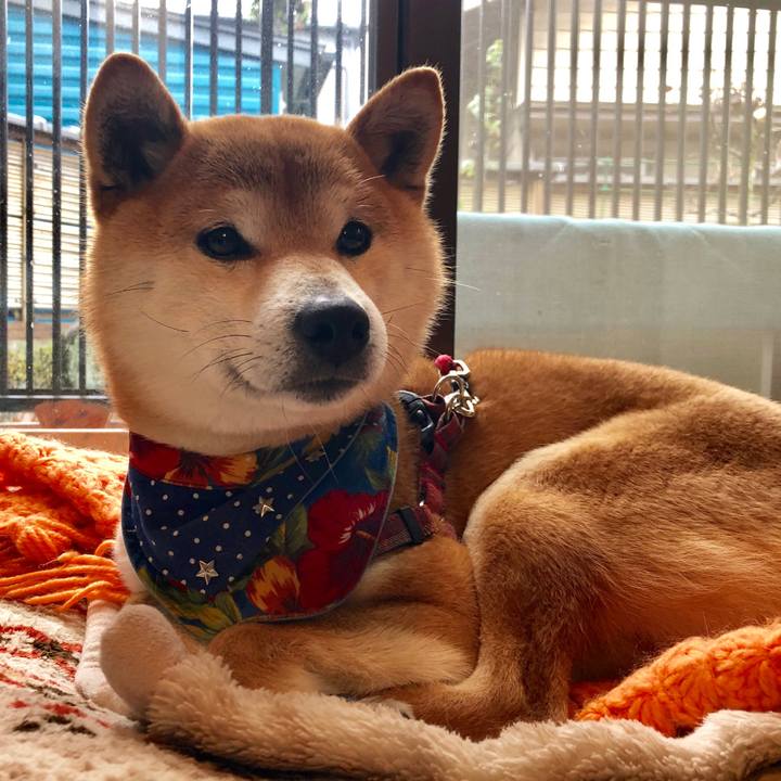 5e8f59af 999c 425f 9946 c05d86ae76ad 1521515936783