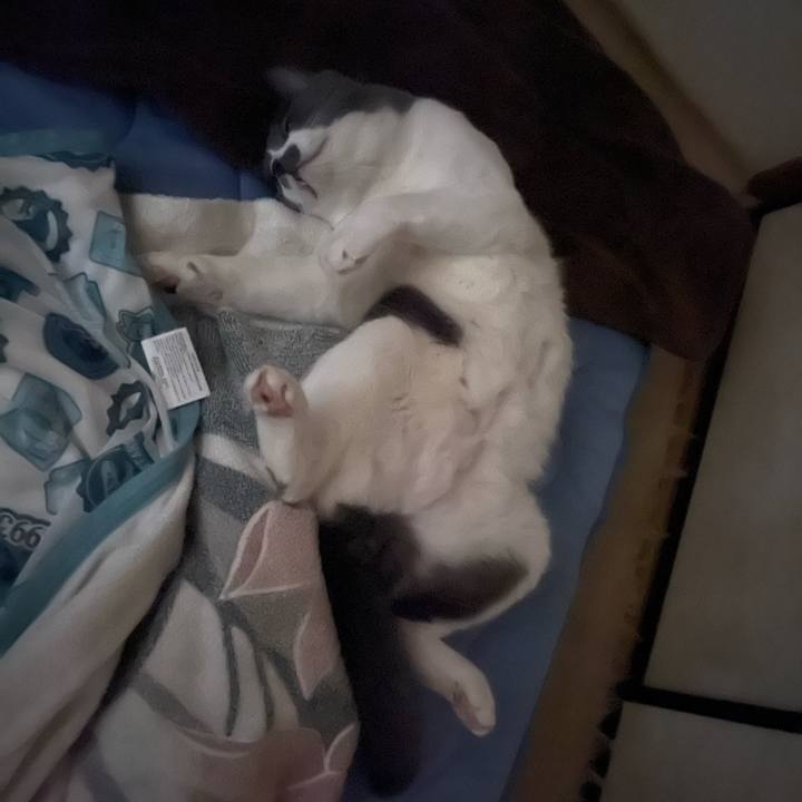 5e8f644d 0e9f 49ef 80bb 6d1797d41f17 1695680474837