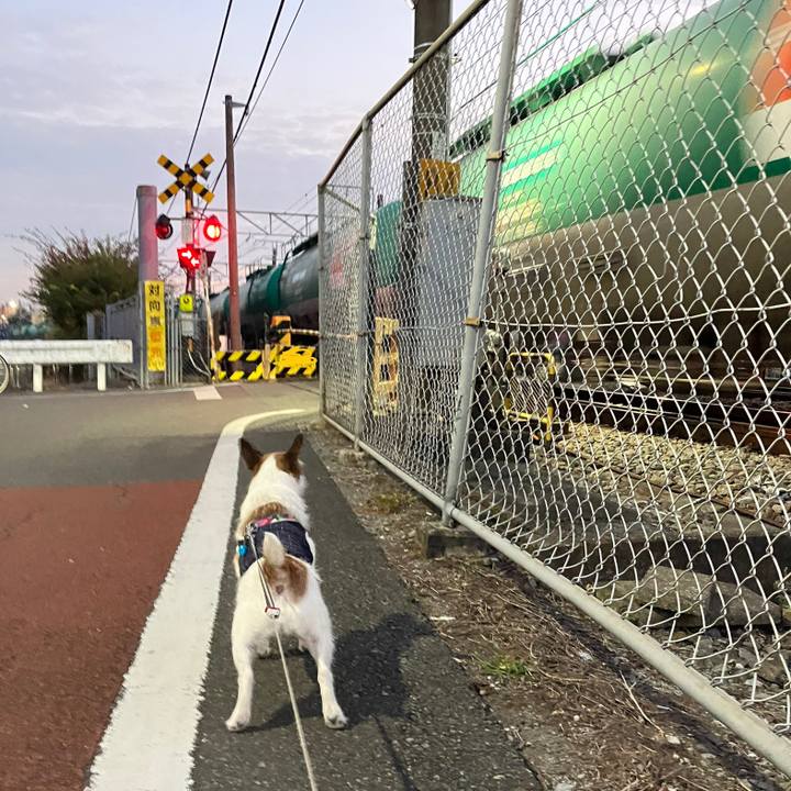 5e8f8df2 7a45 4d13 8d74 a78c60638c4f 1668122425019