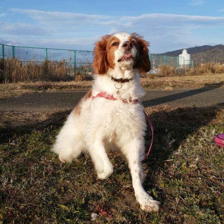 5e8f9f39 aa7f 49f2 b387 e5b960450986 1614600085254