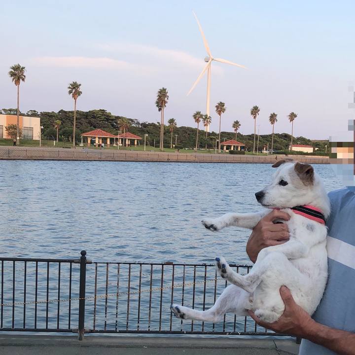 5e8f9f8c f0f1 4960 9e2a fa7bf174a0f3 1632399300761