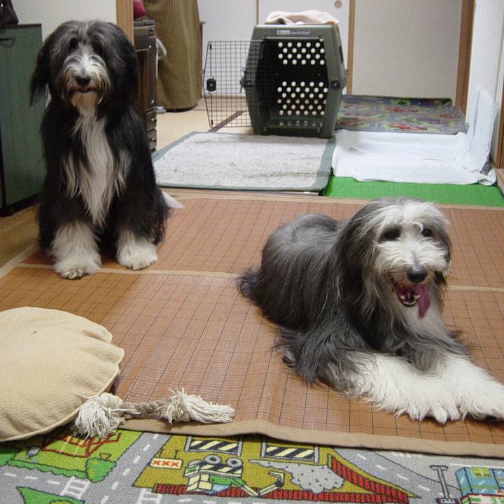 5e8faf14 cd25 4667 b117 4f2dc725fab2 1531390581329