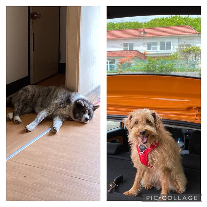 5e8fceeb 3ff4 48fd adec e92761b14dec 1684750068353