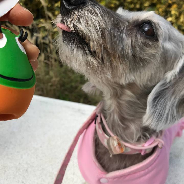 5e8fd0d6 5f64 47c4 9c4e e7741049a33b 1509415667363