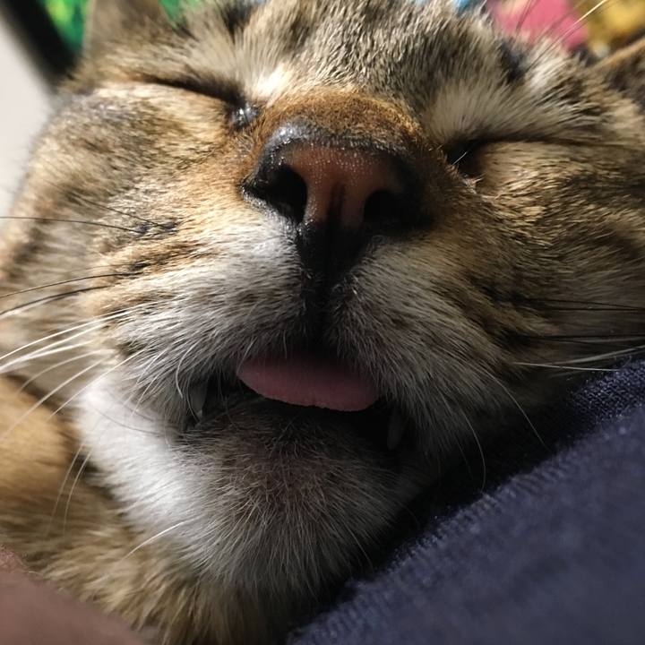 5e906781 1b28 4c12 8981 8ef7db7ef13f 1523799762061