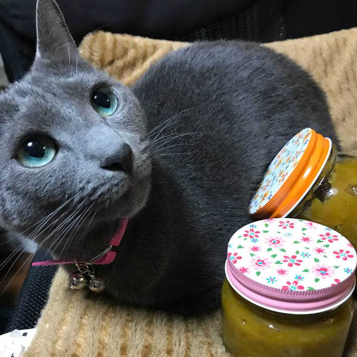 5e90c020 4aec 45de ba8c c500ac3a3432 1521283060520