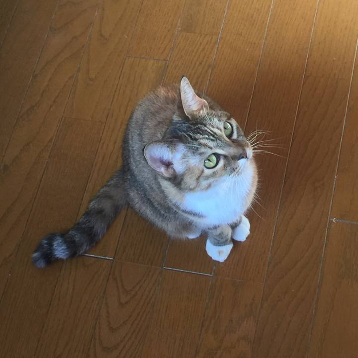 5e90d97e 5cd7 47ec 8507 4170cdc990df 1573790608163