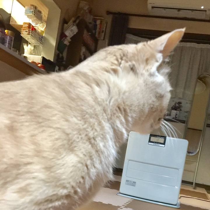 5e90df2e bcef 44d1 8587 4cdbed3f461a 1550659909864