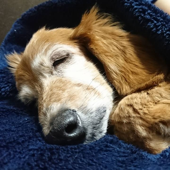 5e90f400 8cf7 41fe 854c ad7acdff5be8 1509109466685