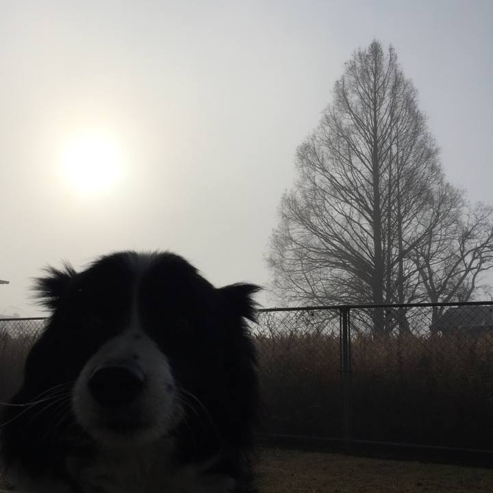 5e912098 98f6 4981 a232 5af1cddf37b6 1548547560360