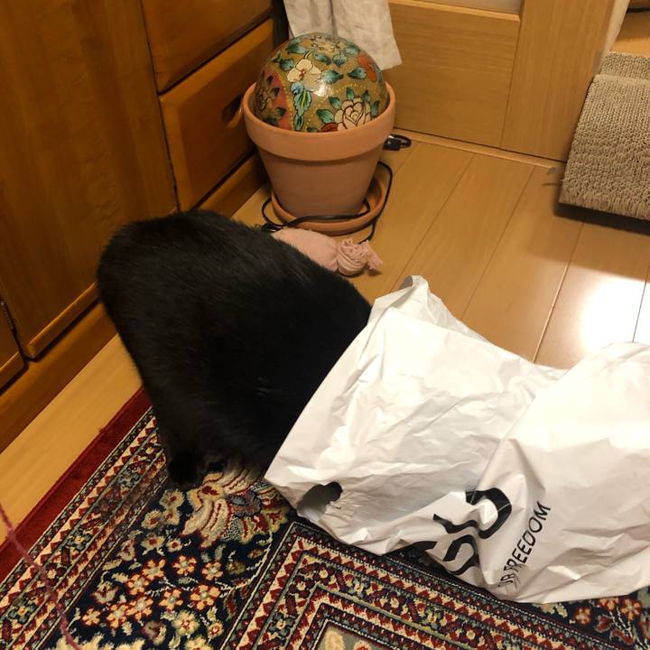 5e913b44 6829 4fff bae4 fd46affdb86a 1557053878809