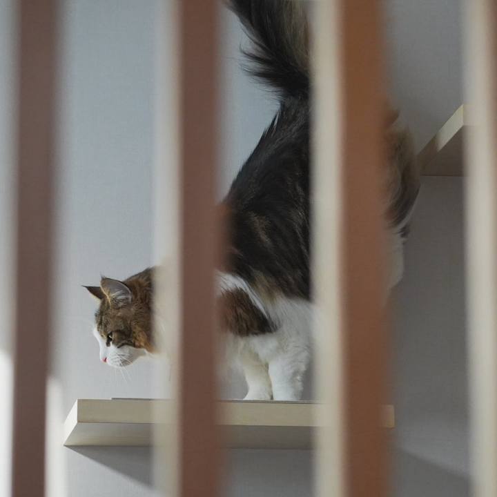 5e914adb ff92 4013 846e d9f3dc294392 1705574724368