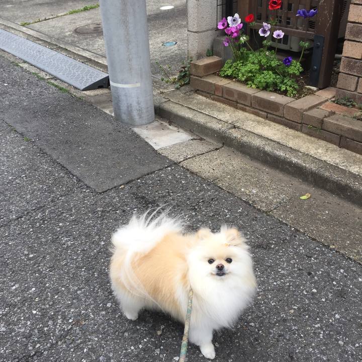 5e914c9d c98c 4f24 984b b96099855fef 1554704798684