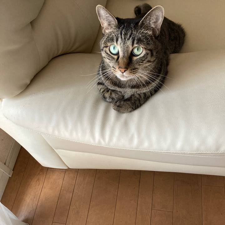 5e91aa68 201f 4a93 8aed 65aab5e59e38 1633337277623