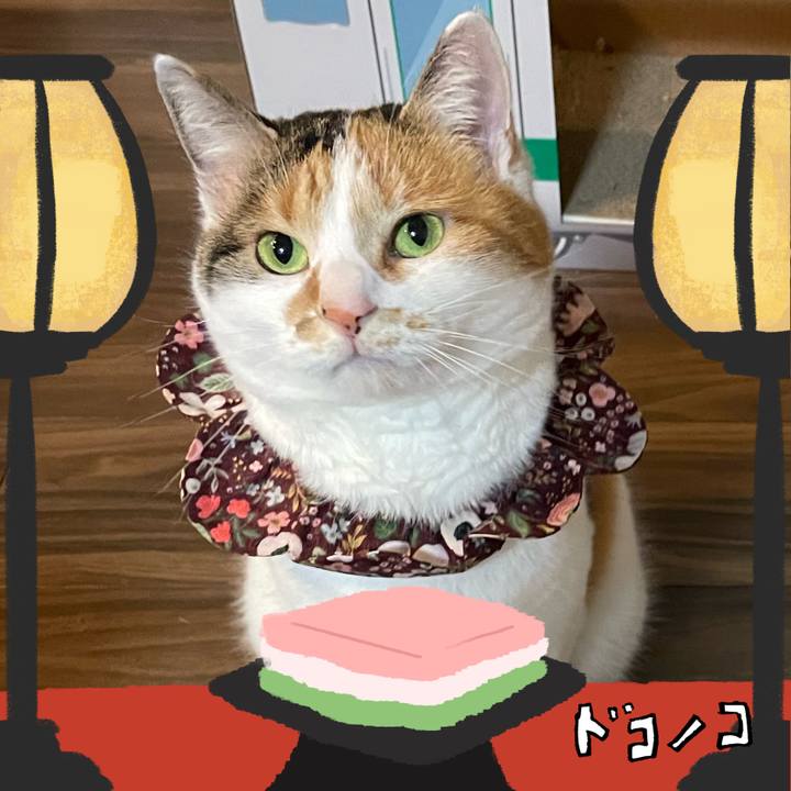 5e91af83 3dc3 4a9c 918d 602444c1bea1 1741059811157