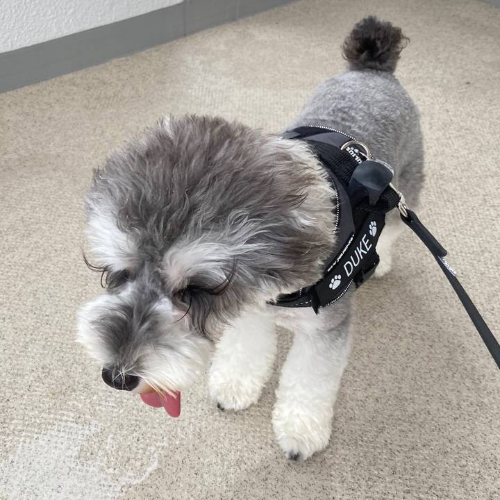 5e91b000 0ec1 4b2c a5d3 b225d10d7c80 1594446364101