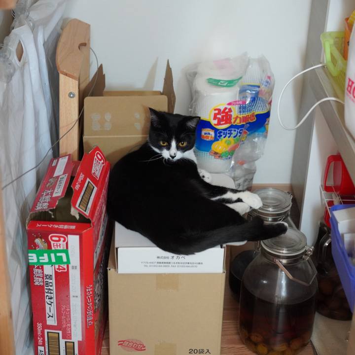 5e91f094 f2eb 4d1b a1b1 70110a9ef957 1620400288147