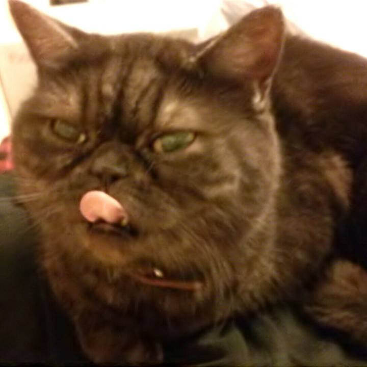 5e921fd9 0561 4140 904d 53419080462a 1542531297067