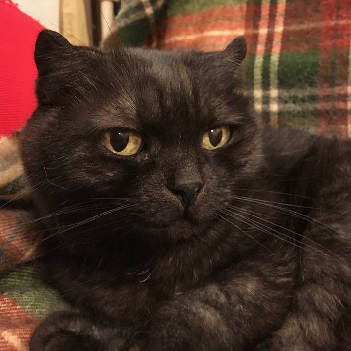 5e92426f 7a70 483d 8186 a38de418b86a 1529338846486