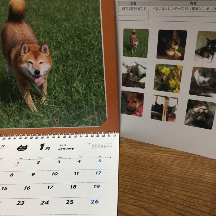 5e927c00 722b 4ab9 b02f c27cc58b58da 1546148053410