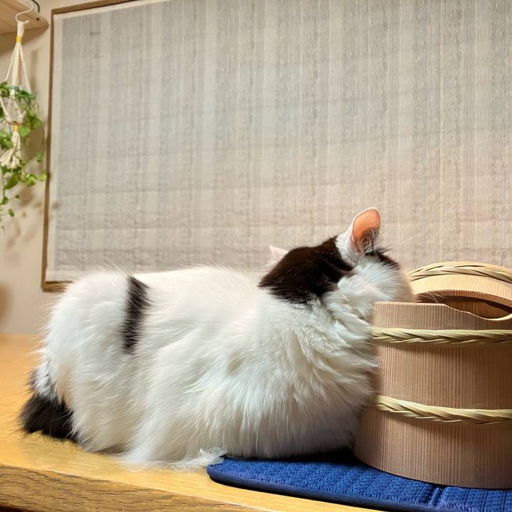 5e92ac93 aa66 4594 9526 1f71cdc86793 1765576299103