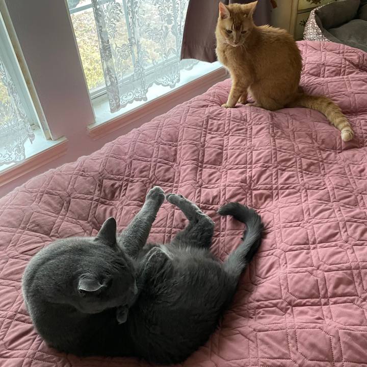 5e92b9a7 d5f5 4e08 b19b 48a522e3283f 1769271296272