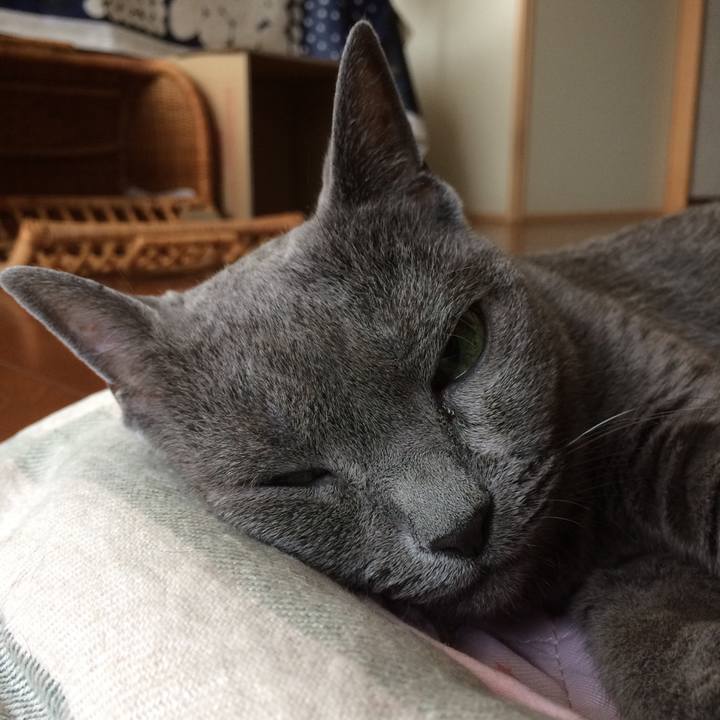 5e92ba6d 98f8 46bf b987 60aae991d6fa 1535409113623