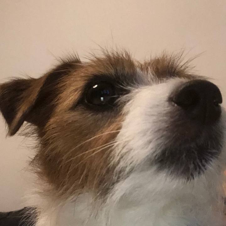 5e92c3d8 4a39 4835 a388 a70ef6ab94f9 1571749011976