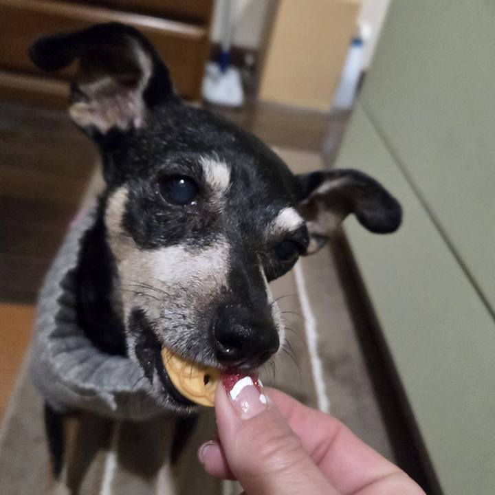 5e92d6f2 8587 4ac8 ba61 5b9d6e2824ca 1764877718531