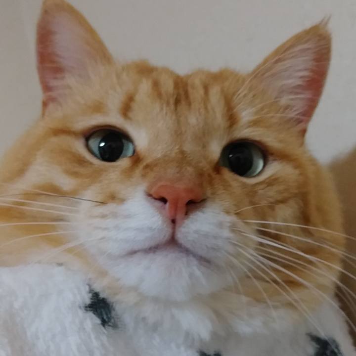 5e9325d7 dfce 415c 9863 9fb781e1c058 1584151038849