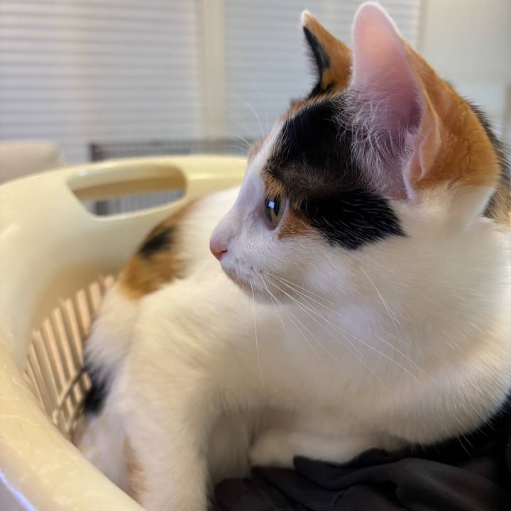 5e936b2d 7db7 441f b049 cd7bf1a76877 1769390959574