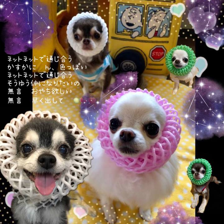 5e9386bf 23ff 43cf af56 c6953880bede 1625652379197