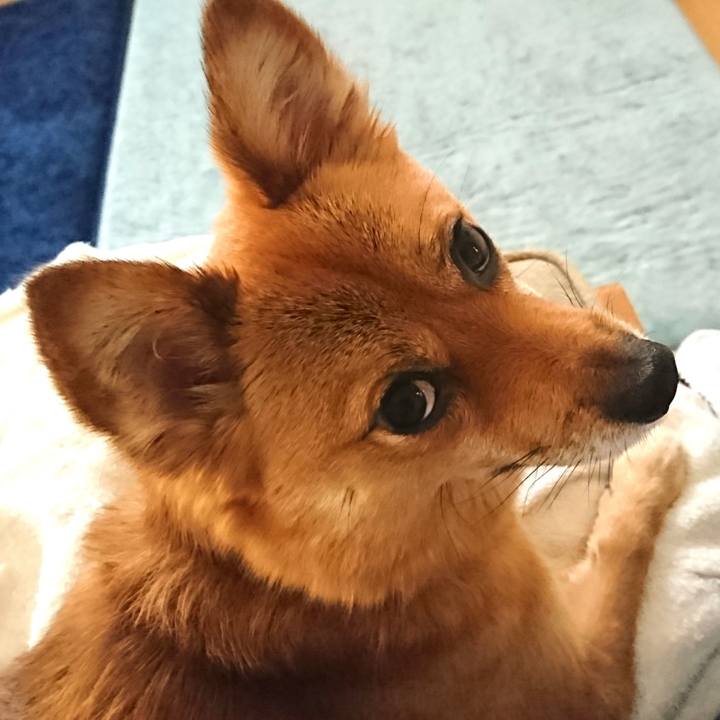 5e9395ab 1a9b 420c 937d da331dcd99f4 1529216423840