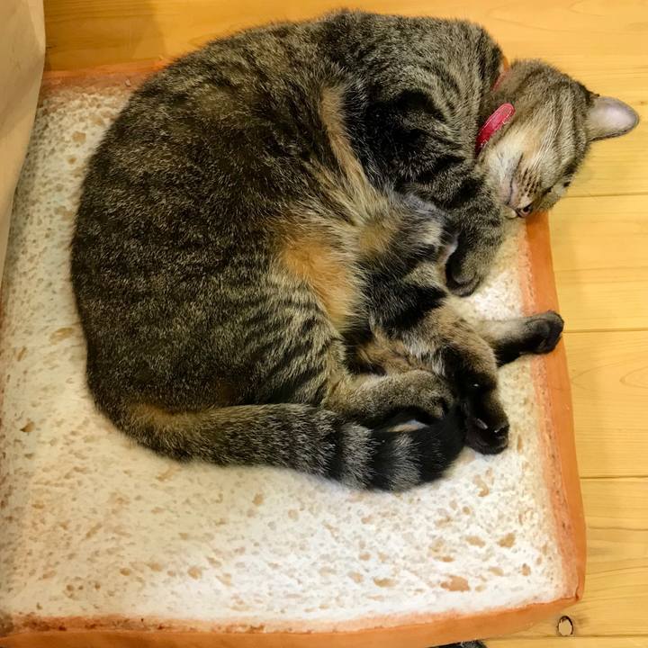 5e939c64 b55d 40b4 88d2 16e19dcb8f1d 1537014316276