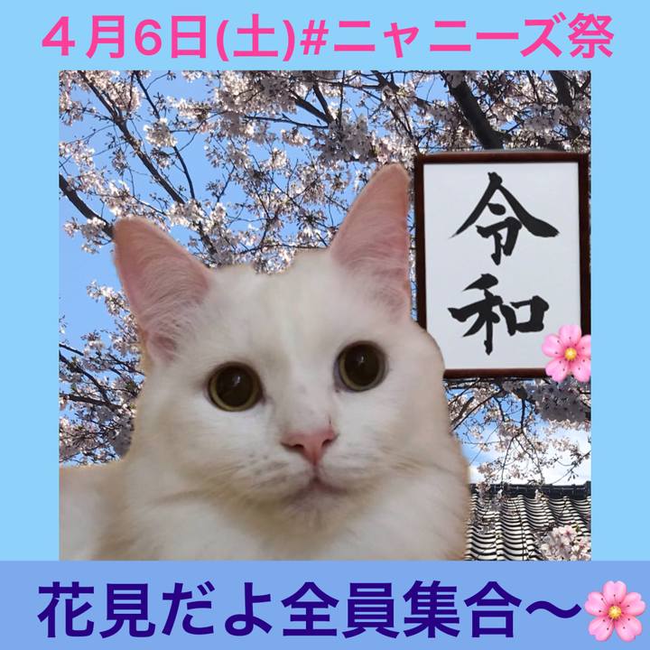 5e93a1b3 bd2a 495b 9d9e 9d782d576931 1554098699787